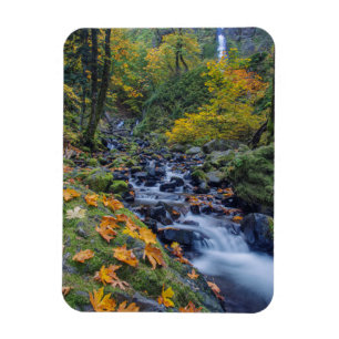 Magnet Flexible Couleur d'automne le long des chutes de Starvation