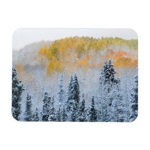Magnet Flexible Couleurs d'automne des trembles et neige fraîche K