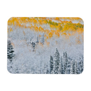Magnet Flexible Couleurs d'automne des trembles Montagnes Rocheu