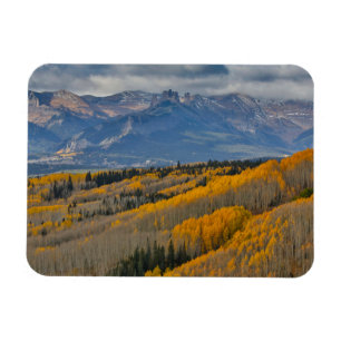 Magnet Flexible Couleurs d'automne sur les bosquets de trembles