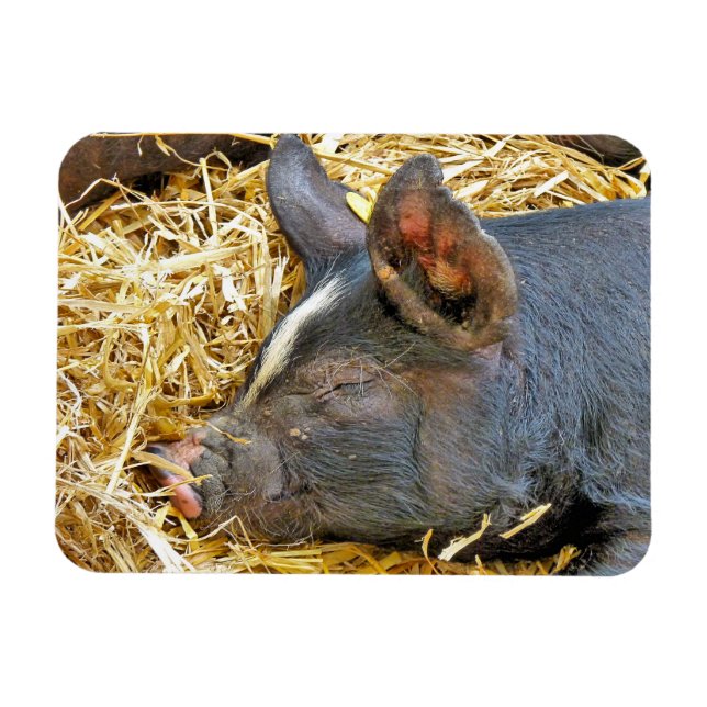 MAGNET FLEXIBLE COUPER (Horizontal)