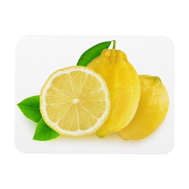 Magnet Flexible Couper les citrons (Horizontal)