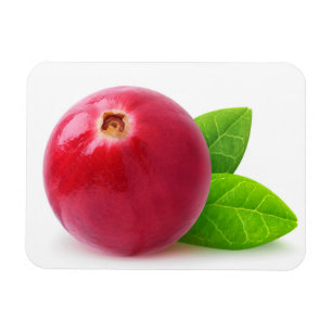 Magnet Flexible Cranberry