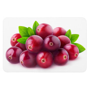Magnet Flexible Cranberry