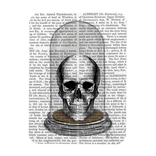 Magnet Flexible Crâne dans Bell Jar 2 (Vertical)