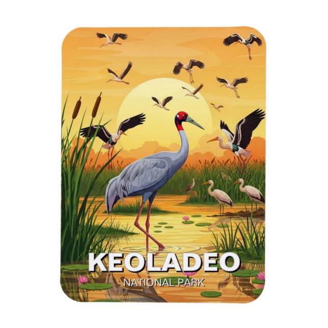 Magnet Flexible Crane in Keoladeo National Park India Travel (Vertical)