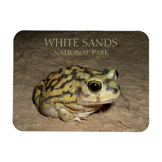 Magnet Flexible Crapaud à pieds de large, Parc national des Sables (Horizontal)