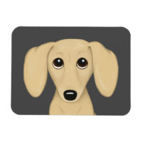 Cream Smooth Coated Dachshund Cartoon Chien