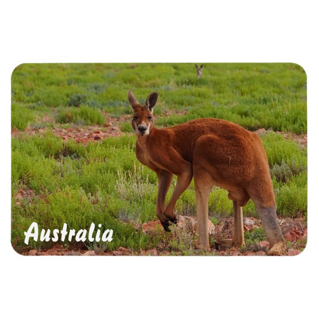 Magnet Flexible Créez votre propre aimant photo (Horizontal)