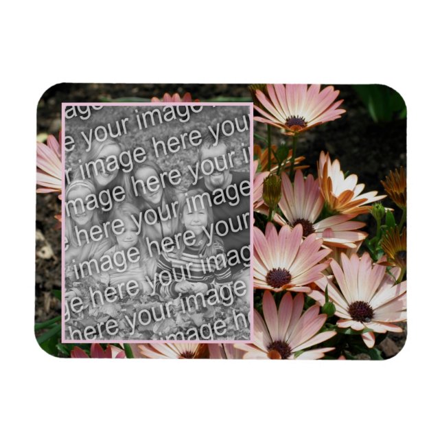 Magnet Flexible Créez votre propre photo rose Fleurs de marguerite (Horizontal)
