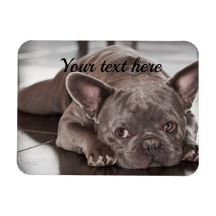 Magnet Flexible Créez votre propre réfrigérateur pour chien person