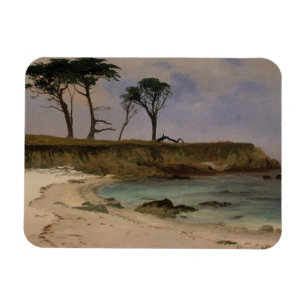 Magnet Flexible Crique de mer