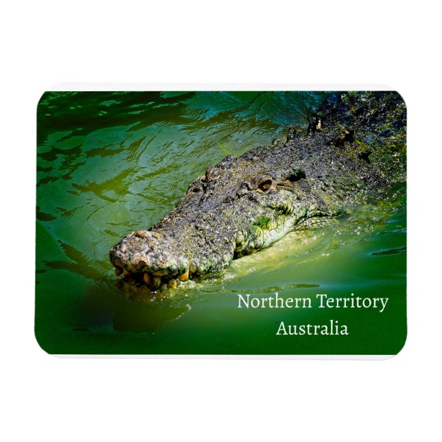 Magnet Flexible Crocodile d'eau salée du Territoire du Nord (Horizontal)