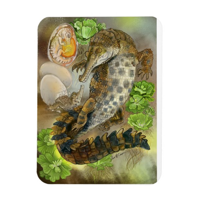 Magnet Flexible Crocodile grossier (Vertical)
