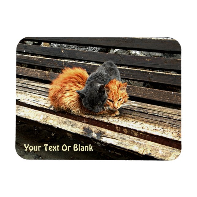 Magnet Flexible Cuisses Catnap (Horizontal)