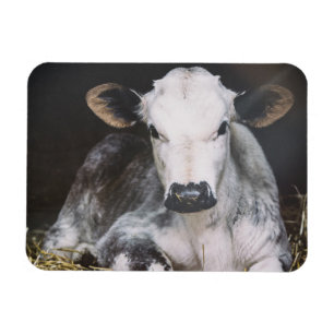 Magnet Flexible Culture occupée de jour