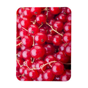 Magnet Flexible Curateur rouge