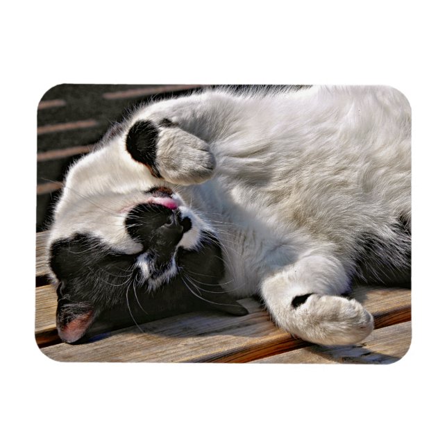 MAGNET FLEXIBLE CUT CAT (Horizontal)