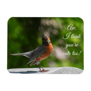 Magnet Flexible Cute American Robin *personnaliser*