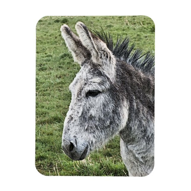 MAGNET FLEXIBLE CUTE DONKEY (Vertical)