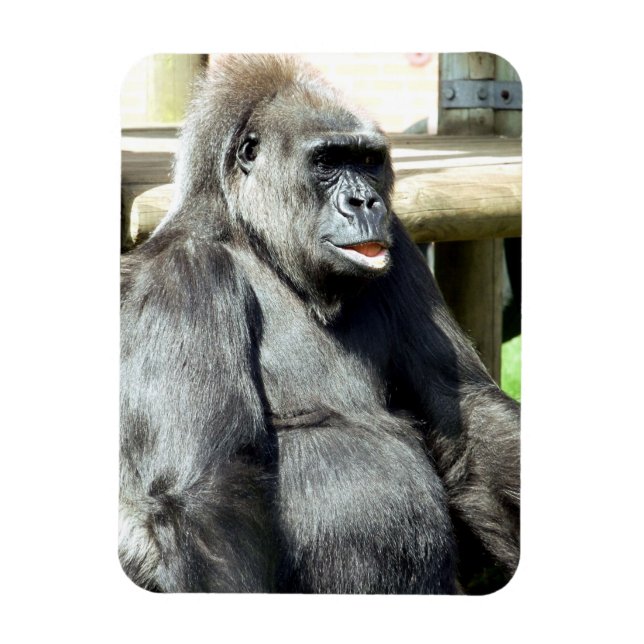 MAGNET FLEXIBLE CUTE GORILLA (Vertical)