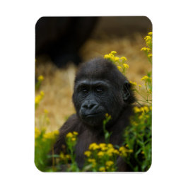 Magnet Flexible Cute Gorilla Baby