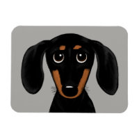 Cute Short Haired Black et Tan Dachshund