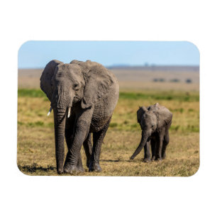 Magnet Flexible Cutest Baby Animals   Elephant Mother & Baby