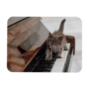 Magnet Flexible Cutest Baby Animals   Kitten on Piano