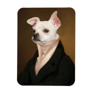 Magnet Flexible Cutest Baby Animals   Royal Chihuahua Portrait