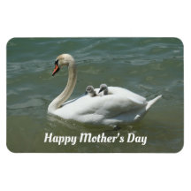 Cygne avec bébés Aimant photo flexible