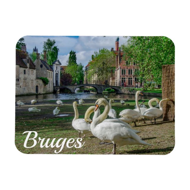 Magnet Flexible Cygnes blancs dans le centre de Bruges (Horizontal)