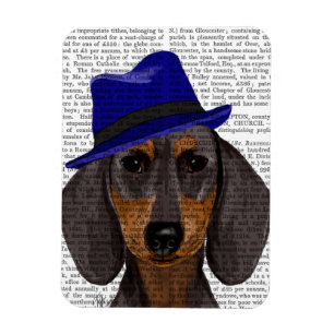 Magnet Flexible Dachshund Avec Trilby Bleu