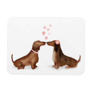 Magnet Flexible Dachshunds dans l'aimant frigo (deux filles)