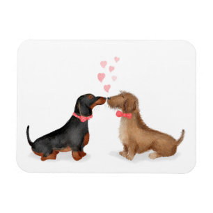 Magnet Flexible Dachshunds en amour aimant frigo aimant (deux garç