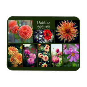 Magnet Flexible Dahlia Fleurs Huit Photo Collage personnel