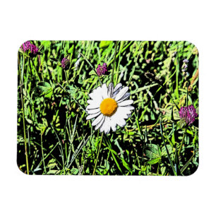 Magnet Flexible Daisy