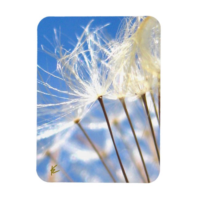 Magnet Flexible Dancing Dandelion Poof, Happy, Joyful, Nature (Vertical)