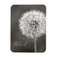 Dandelion de souhaits inspiré