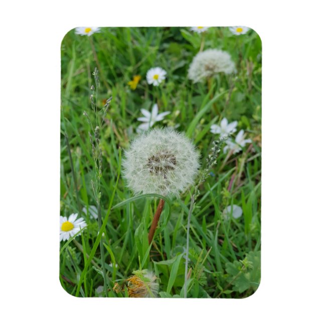 Magnet Flexible Dandelion fleur attend le vent (Vertical)