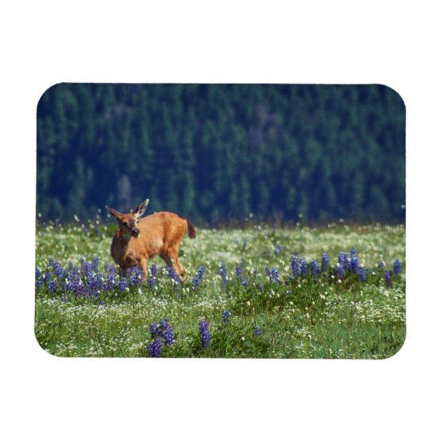 Magnet Flexible Dans le pré (Horizontal)