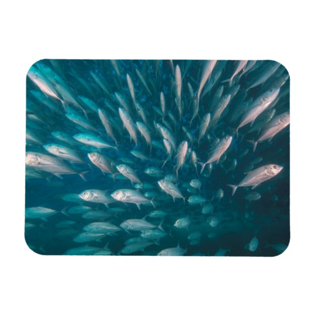 Magnet Flexible Dans Les Jacks (Horizontal)