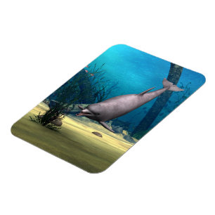 Magnet Flexible Dauphin