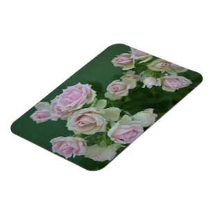 Magnet Flexible De belles roses de jardin rose clair 