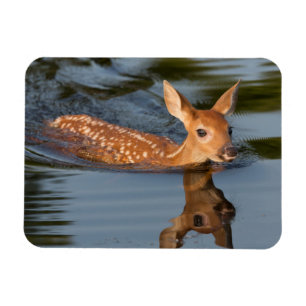 Magnet Flexible Deer Fawn   Minnesota