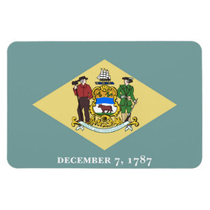 Magnet Flexible Delaware