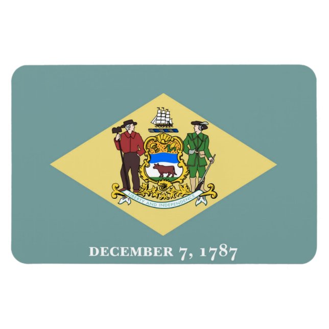 Magnet Flexible Delaware (Horizontal)