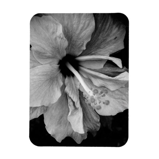 Magnet Flexible Dépliant de l'Hibiscus (Vertical)