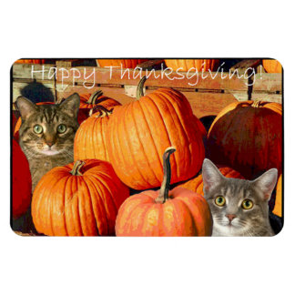 Magnet Flexible Des chatons de Thanksgiving et des citrouilles