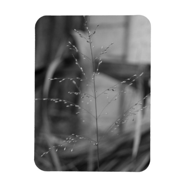 Magnet Flexible Deschampsia flexuosa (Vertical)